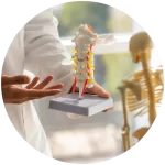 Salud ósea y articular