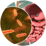 Antiparasitarios y Uso Complementario