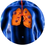 Sistema Respiratorio / Antiviral / Antibacteriano