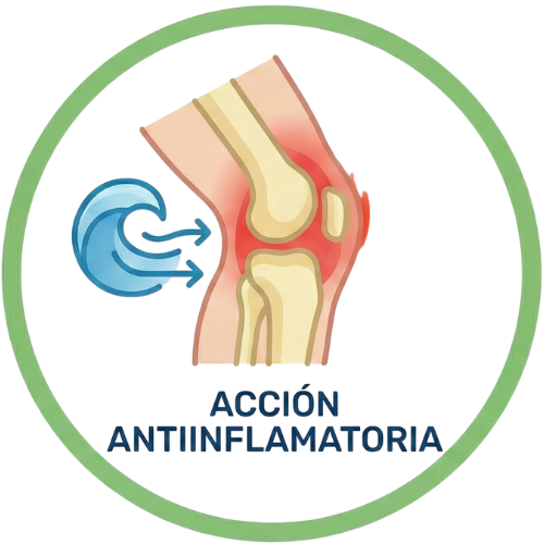 Acción antiinflamatoria