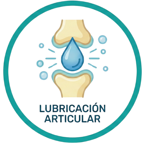 Lubricación articular